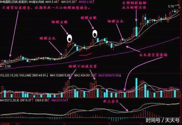 启动时的60日线附近的k线构成蛤蟆的左爪,最后一次在60日线附近的k线