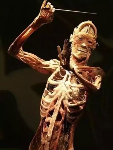 极端恐怖:大连尸体加工厂!一位失踪女主播或被