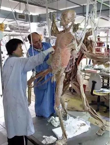 极端恐怖:大连尸体加工厂!一位失踪女主播或被