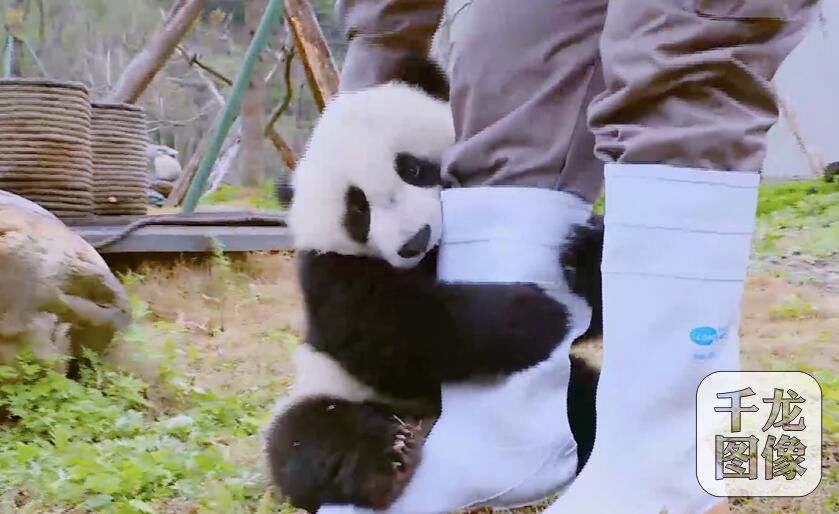 QQ截图20180415105852