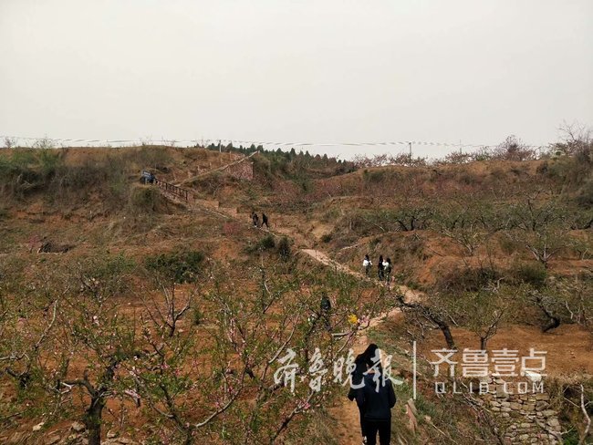 微电影《桃花开了》正式开机，最新消息看这里！