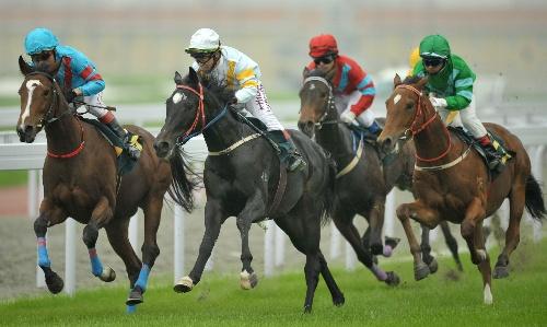 海南瑞泽:公司涉足赛马业务