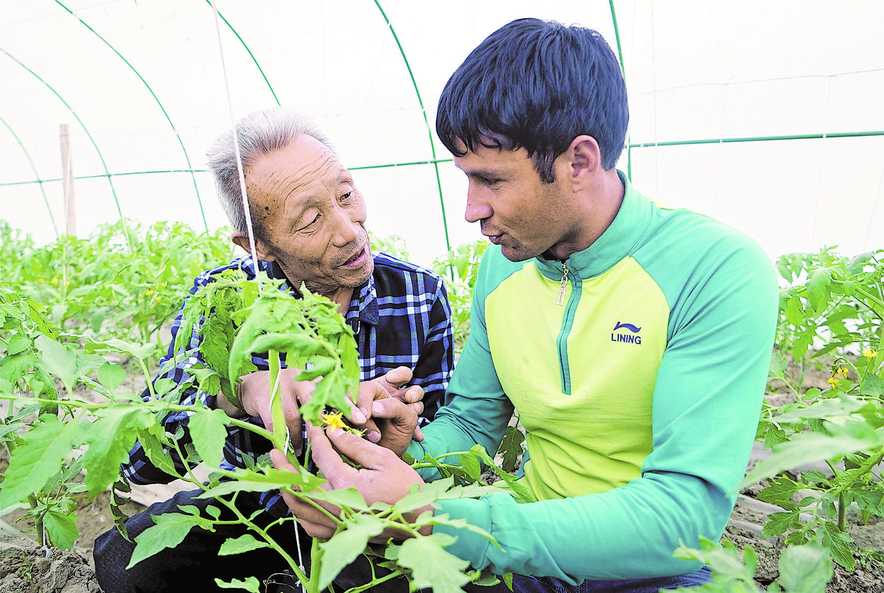 菜堂村人口_人口普查(3)