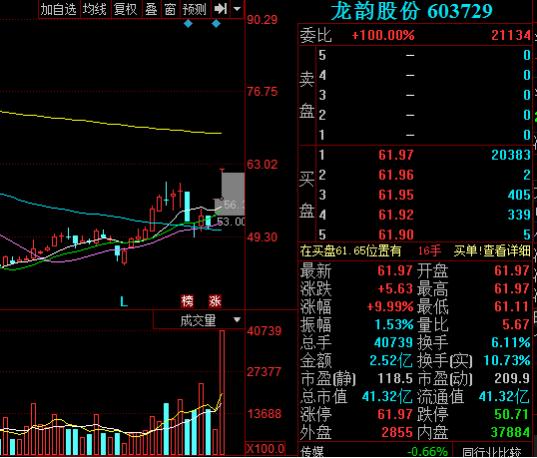 游资出逃,海南板块严重分化,老股民:抓住龙头就