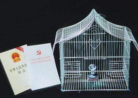 用冒名顶替夺走别人20年芳华该当何罪?所有涉