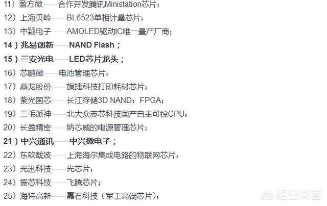 中国的芯片巨头在哪里?