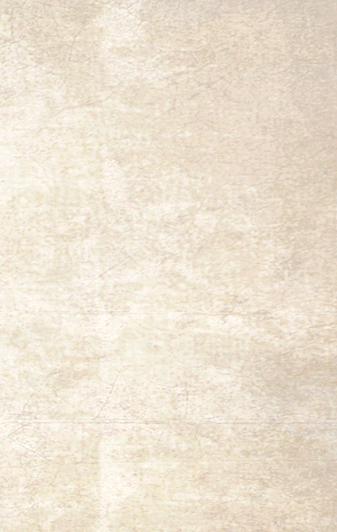 背景 壁纸 石材 砖 485_765 竖版 竖屏 手机 gif 动态图 动图