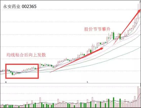 股票出现均线粘合向上发散,满仓买入是唯一选