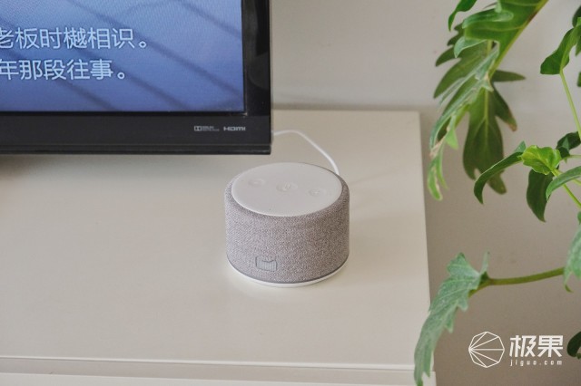 生活中万能小助手，天猫精灵曲奇试用体验