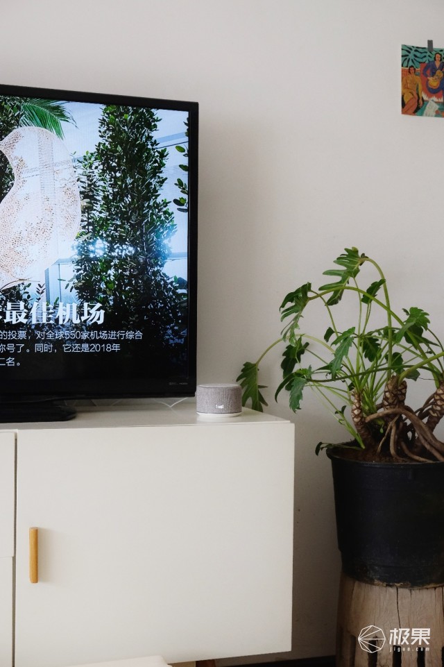 生活中万能小助手，天猫精灵曲奇试用体验