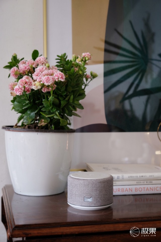 生活中万能小助手，天猫精灵曲奇试用体验