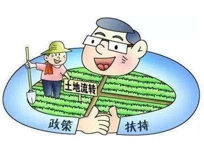 收入证明_农民收入提高的感受(3)