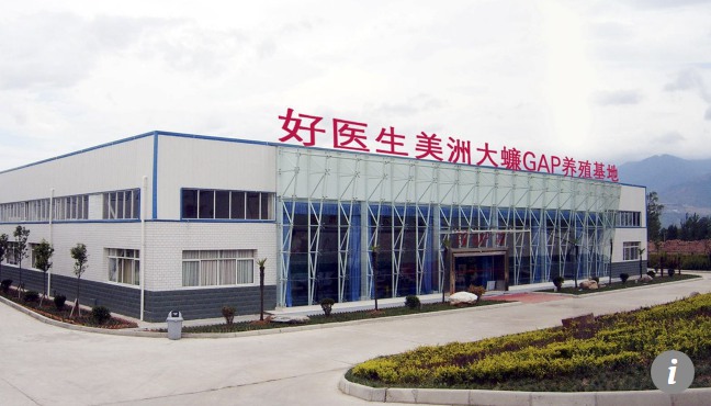 揭秘四川全球最大蟑螂基地：AI系统控制60亿只蟑螂