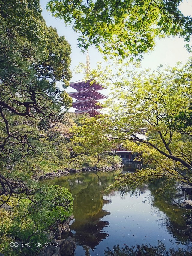 说走就走的春游 带着OPPO R15漫游东京