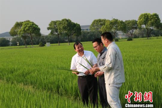 吴协恩与“年轻农民”在田间唐娟摄