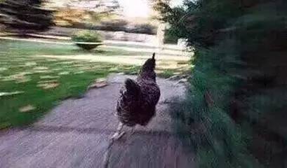 停水通知丨天津24个小区将停水23小时!快看有