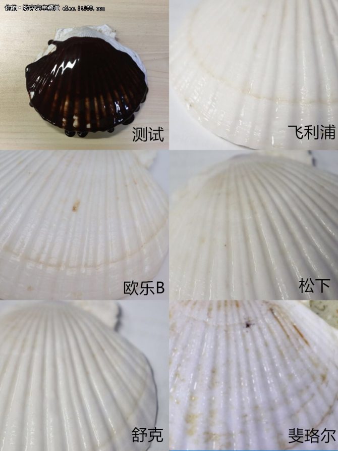 清洁度测试&真人体验