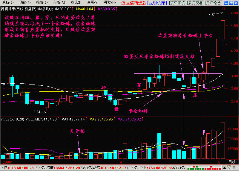 图2-1 下面是几个季金蜘蛛的图形.