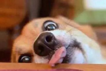 停水通知丨天津24个小区将停水23小时!快看有