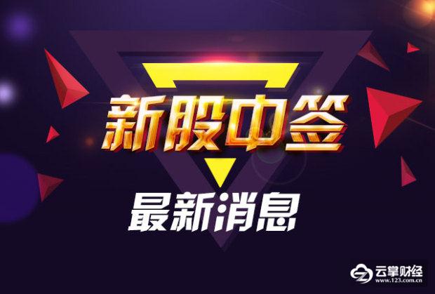 药明康德(603259)网上发行中签率为0.0611%