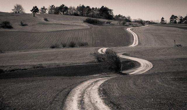 在曲折的道路上前行
