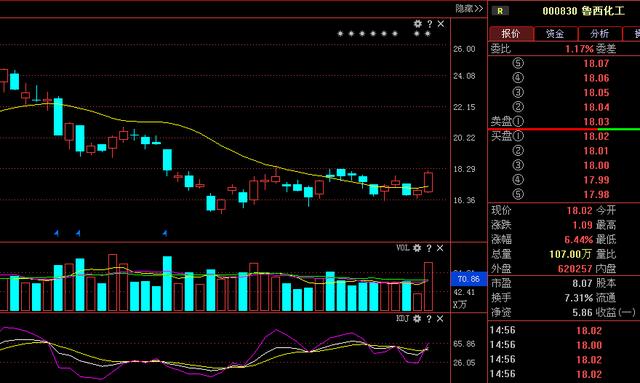 化肥化工第一龙头：鲁西化工净利润19.5亿，18年可超必创科技