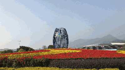 壁纸 成片种植 风景 植物 种植基地 桌面 400_224 gif 动态图 动图