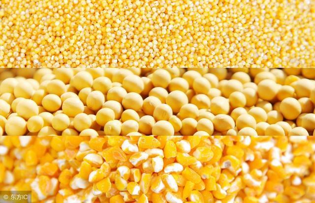 中国为什么要向美国进口大豆玉米