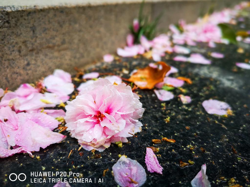 专业机构实拍样张曝光 华为P20 Pro 拍照水平