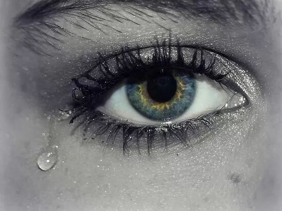 网上有说法称:"人在悲伤时流出的眼泪成分中含有有毒的物质,流眼泪