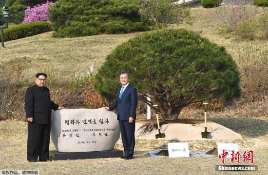 当地时间4月27日，金正恩与文在寅在板门店军事分界线附近共同种下一棵65年树龄的松树，种树的土分别来自朝鲜和韩国。韩朝双方领导人还在植树活动现场合影留念。