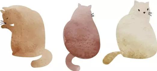 泰国养老签证开放办理,完整流程看这里!