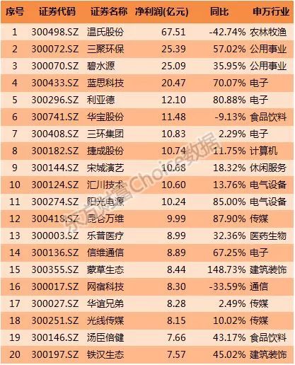武汉环保公司排名_武汉房产中介公司排名(3)