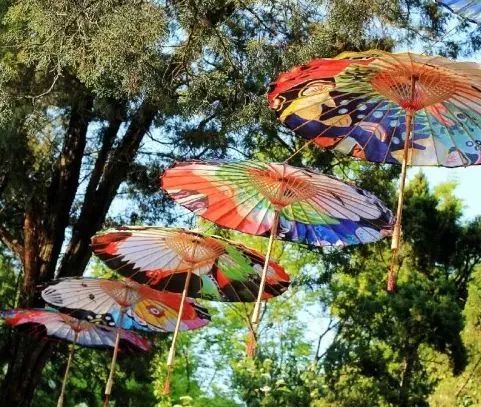 【假期】收下这份五一旅游活动推荐, 呼朋引伴