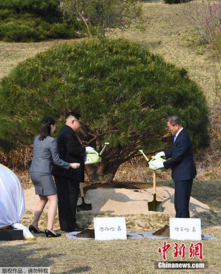 当地时间4月27日，金正恩与文在寅在板门店军事分界线附近共同种下一棵65年树龄的松树，这是一棵停战协定签署那一年――1953年的松树，种树的土分别来自朝鲜和韩国。随后，金正恩用韩国汉江的水浇树，而文在寅则用来自朝鲜大同江的水浇灌树木。韩朝双方领导人还在植树活动现场合影留念。手，实现初次会面。
