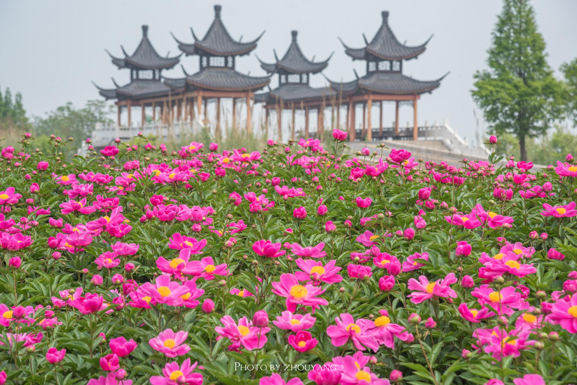 宿迁?它是刘强东故乡,更是江苏最美的生态之城