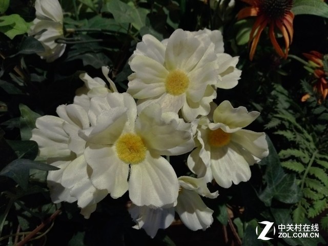 Lenovo K5上手 百元机也可美出新高度 