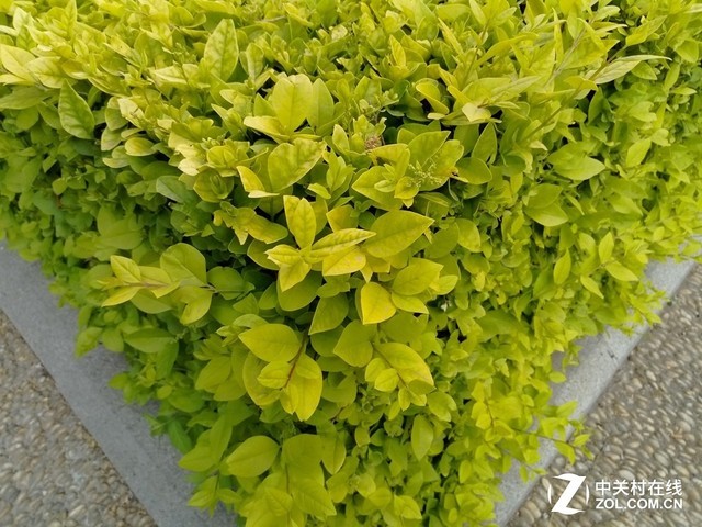 Lenovo K5上手 百元机也可美出新高度 