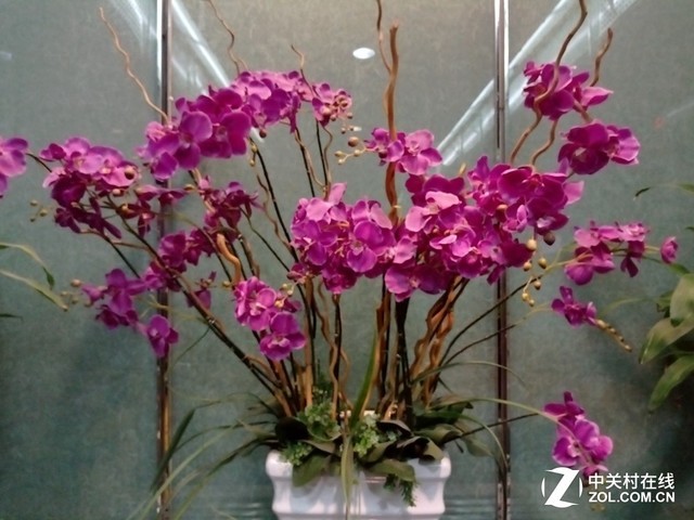 Lenovo K5上手 百元机也可美出新高度 