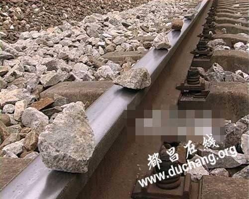 熊孩子三颗石子逼停高铁40分钟,赔偿5万!