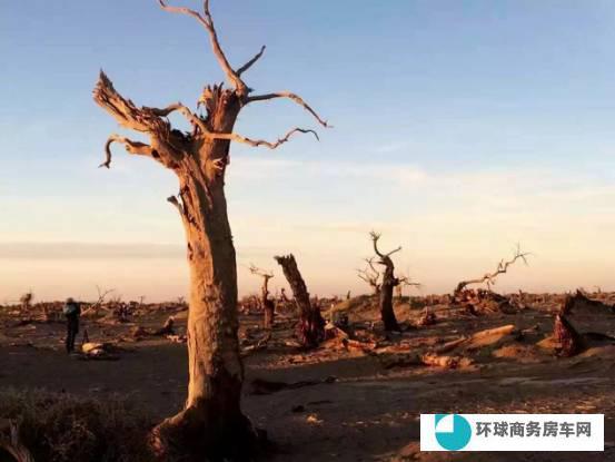 死亡之海的诱惑，凯伦宾威 车主拍摄最美——塔克拉玛干沙漠！