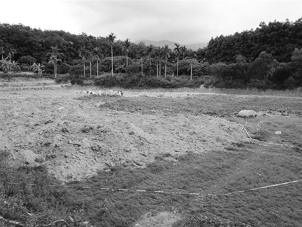 海南保亭村民挖掘灌溉水井发生坍塌,3人被埋不