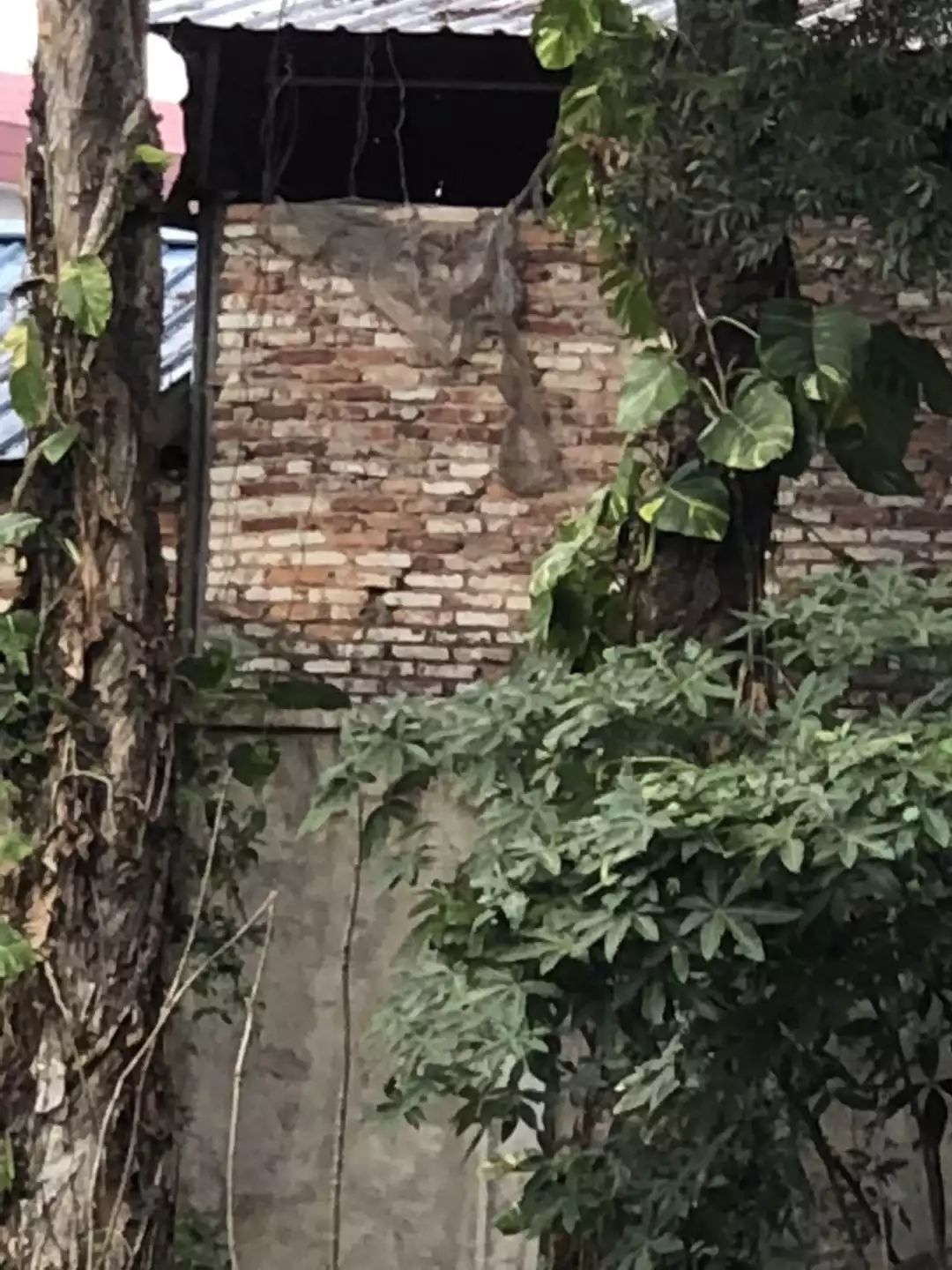 华为 P20 Pro、苹果 X 对比评测:国产机皇能一