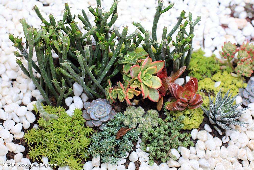 2018最新适合年轻人的五个创业项目,小本生意