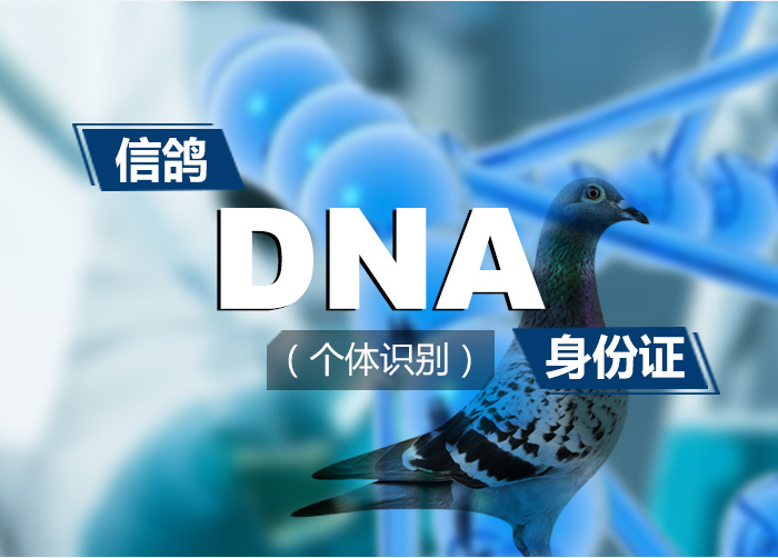 微信截图_20180504114638.png