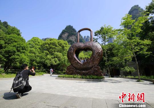 巨型铜铸同心锁亮相张家界国家森林公园。　吴勇兵　摄