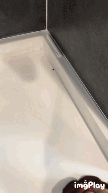 卡赫(Karcher)SC2蒸汽清洁机 卡赫(Karcher)SC2蒸汽清洁机