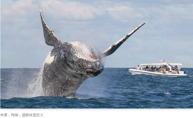 谁将是地球上第一个99万亿美元市值的公司?