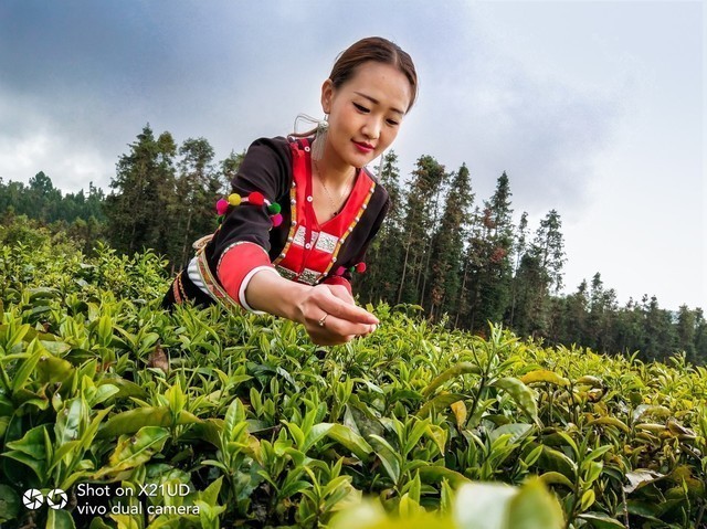 智慧旅行 vivoX21带你玩转腾冲极边之旅 