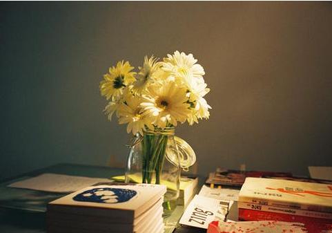 女人就要多读书,读完这8本好书,提高情商成就